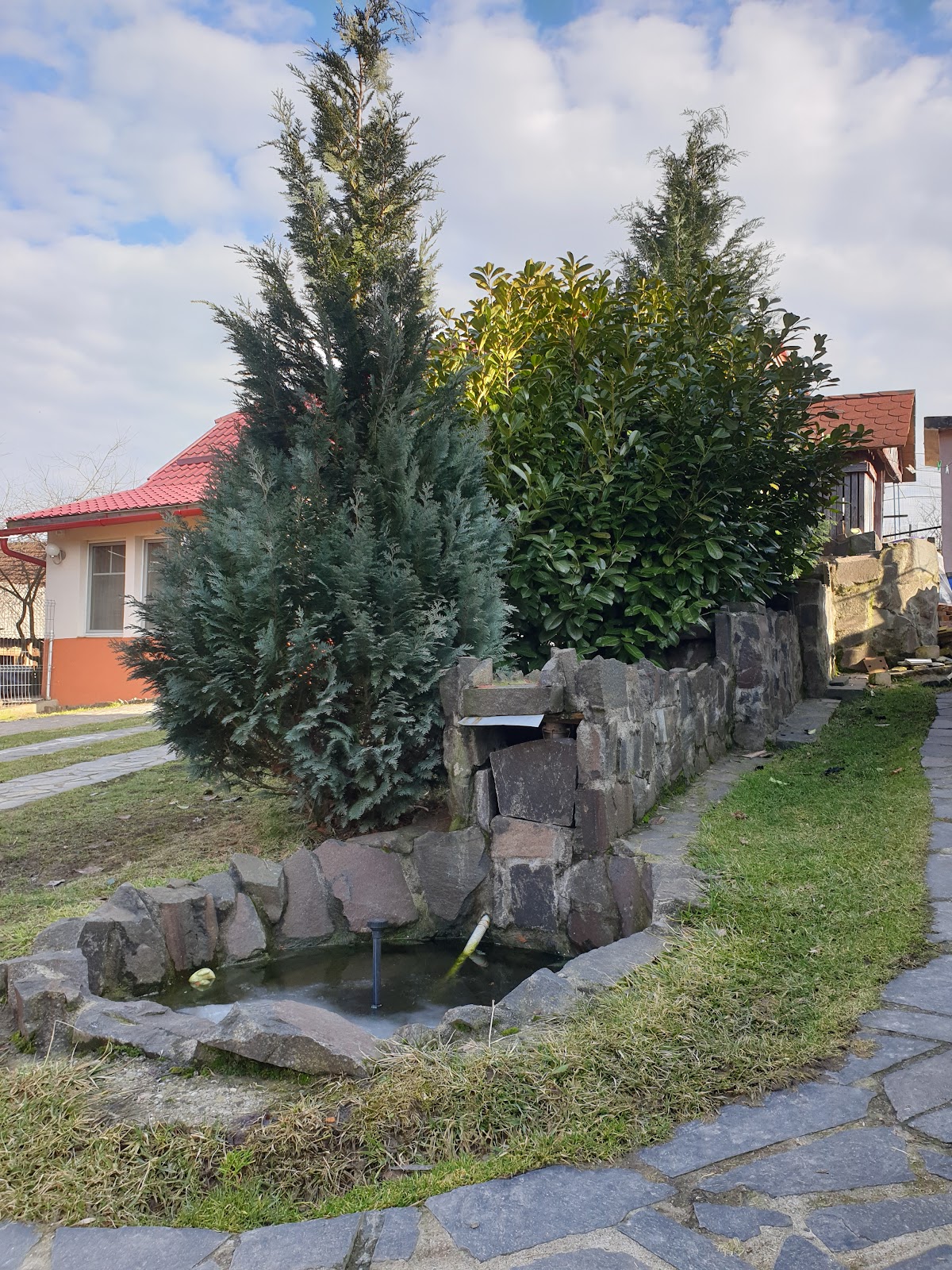 Borleşti