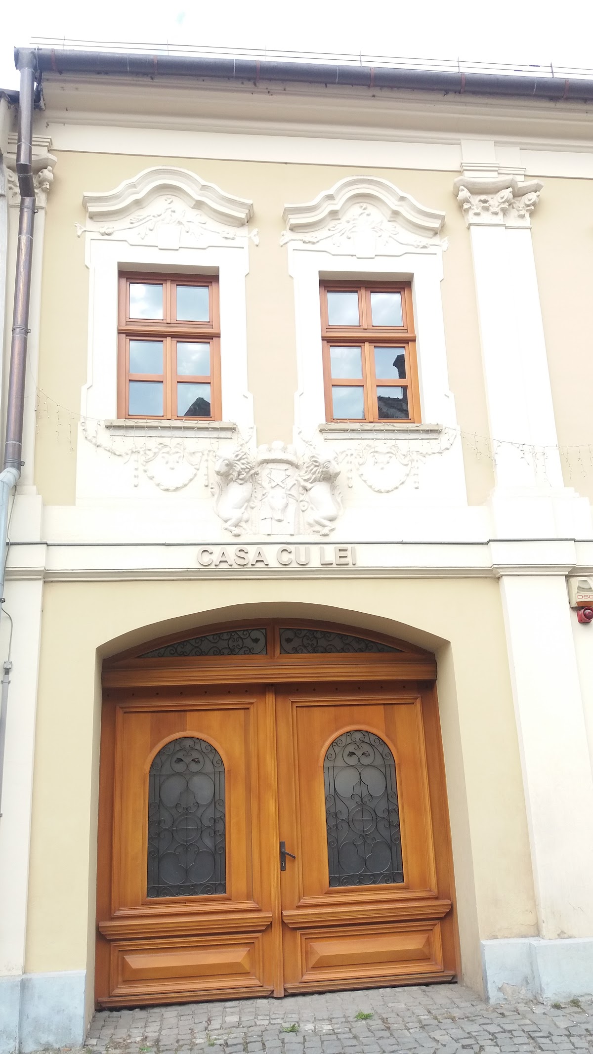 Casa cu Lei din Bistrița - foto 2