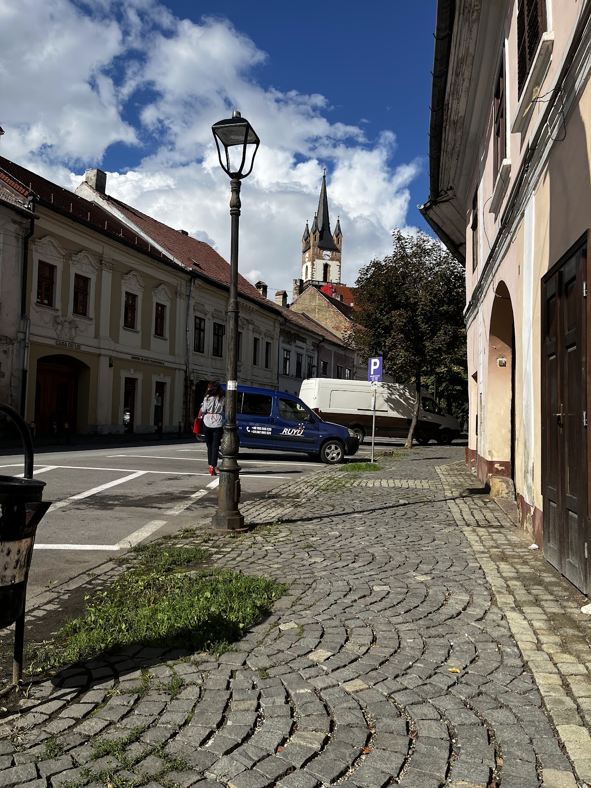 Casa cu Lei din Bistrița - foto 4