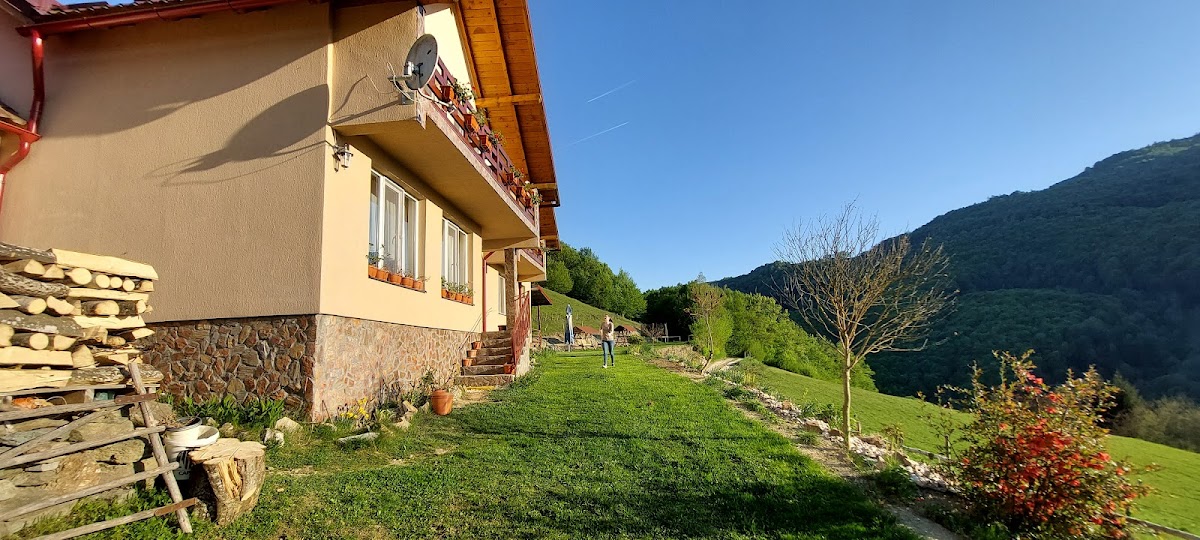 Casa cu Muscate, Câmpeni