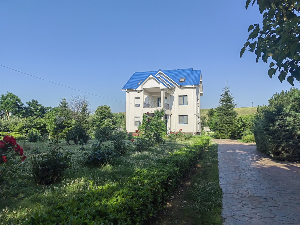 Casa cu Nuc