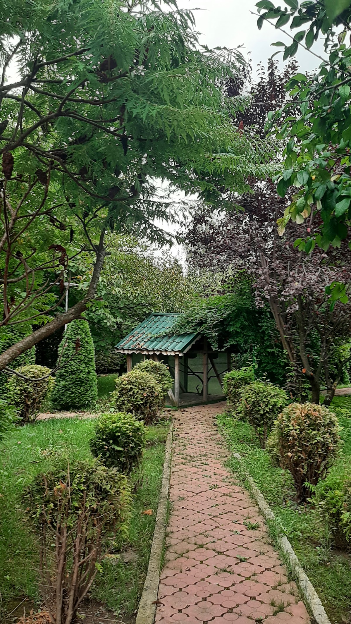 Casa cu Pauni Mioveni