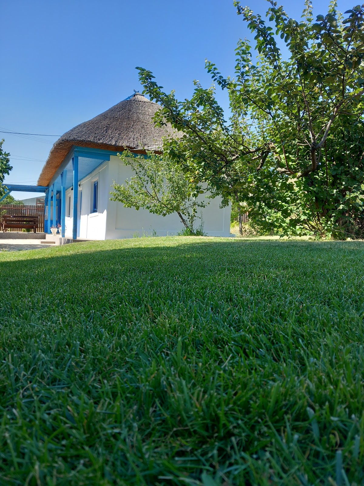 Casa cu stuf, Greci