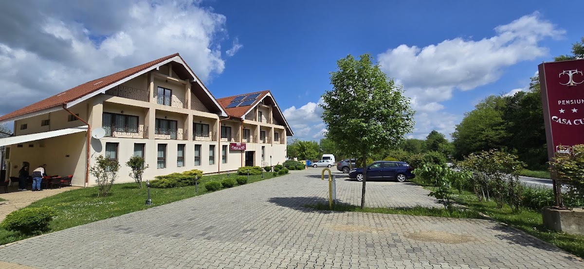 Casa cu Tei - foto 3