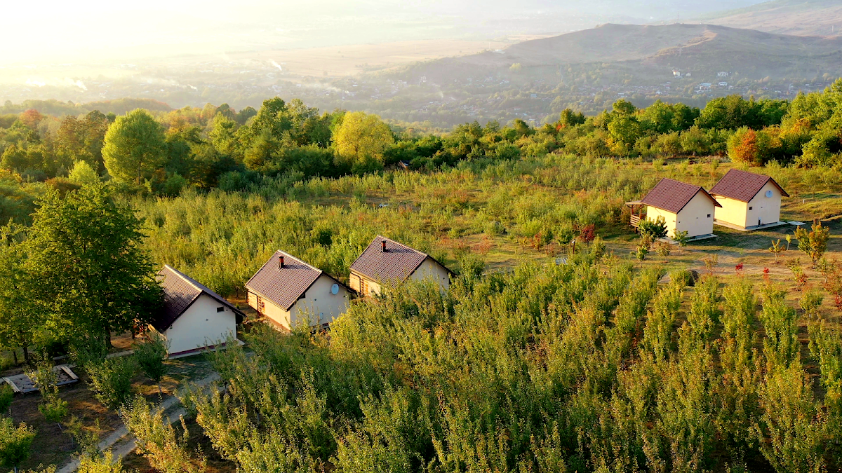 Casa David