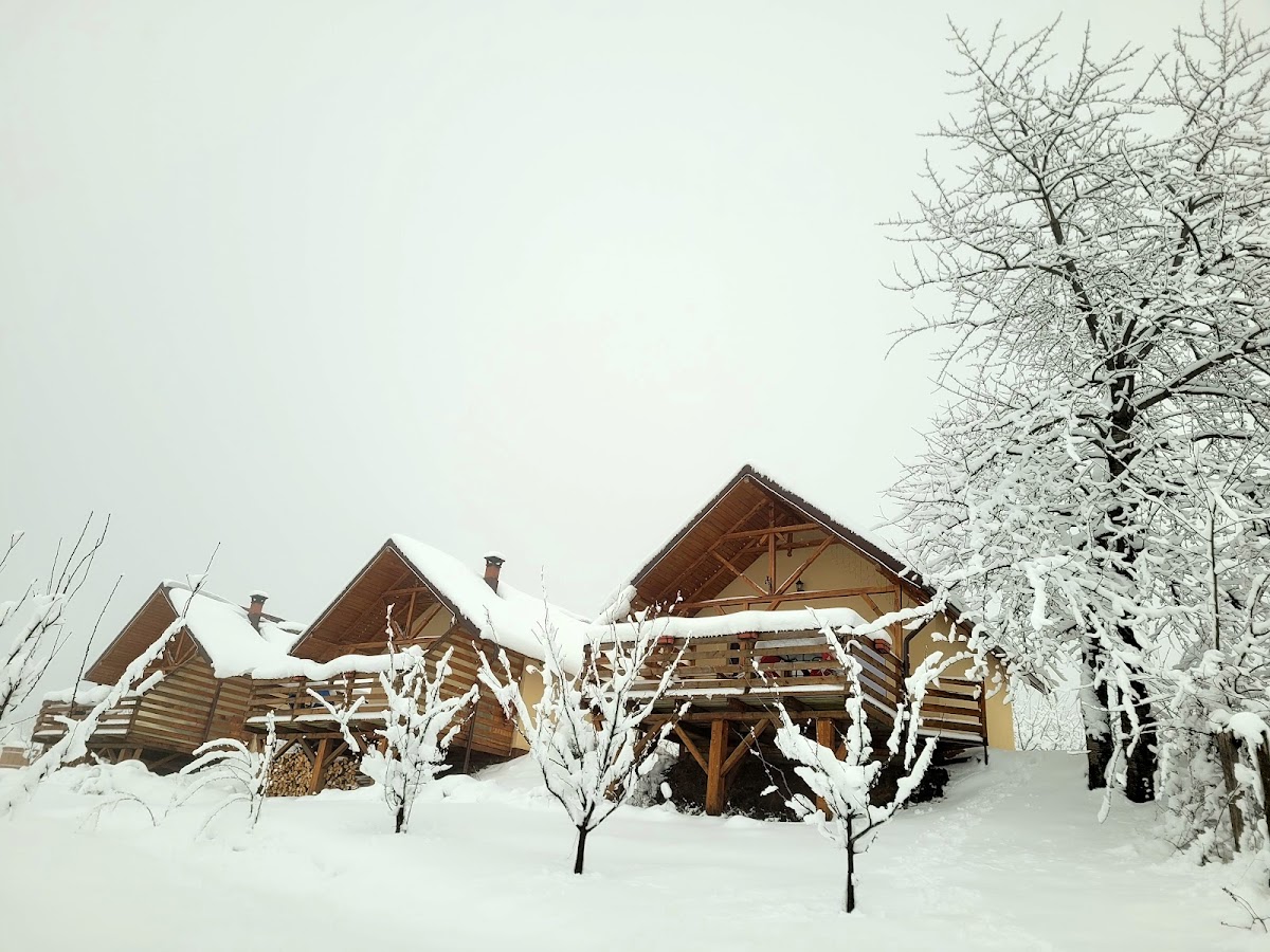 Casa David