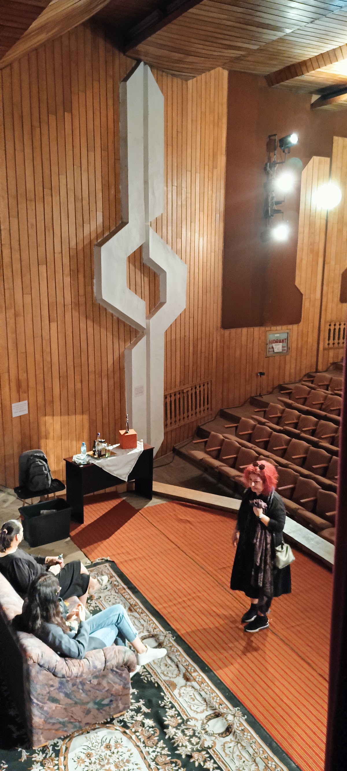 Casa de Cultură „Amza Pellea” - foto 3