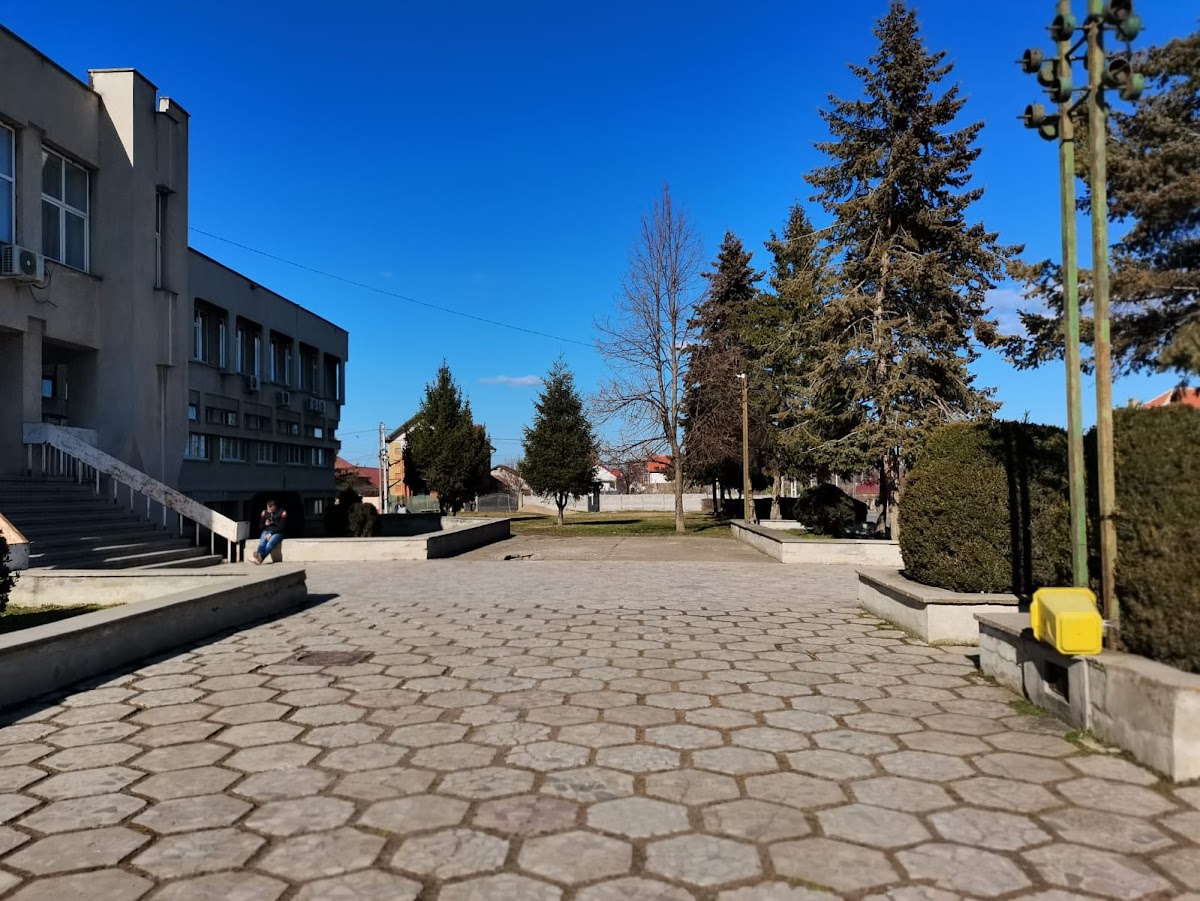 Casa de Cultură „Amza Pellea” - foto 4