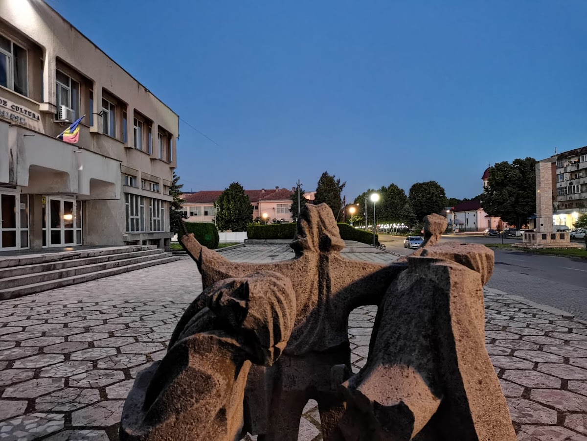 Casa de Cultură „Amza Pellea” - foto 5