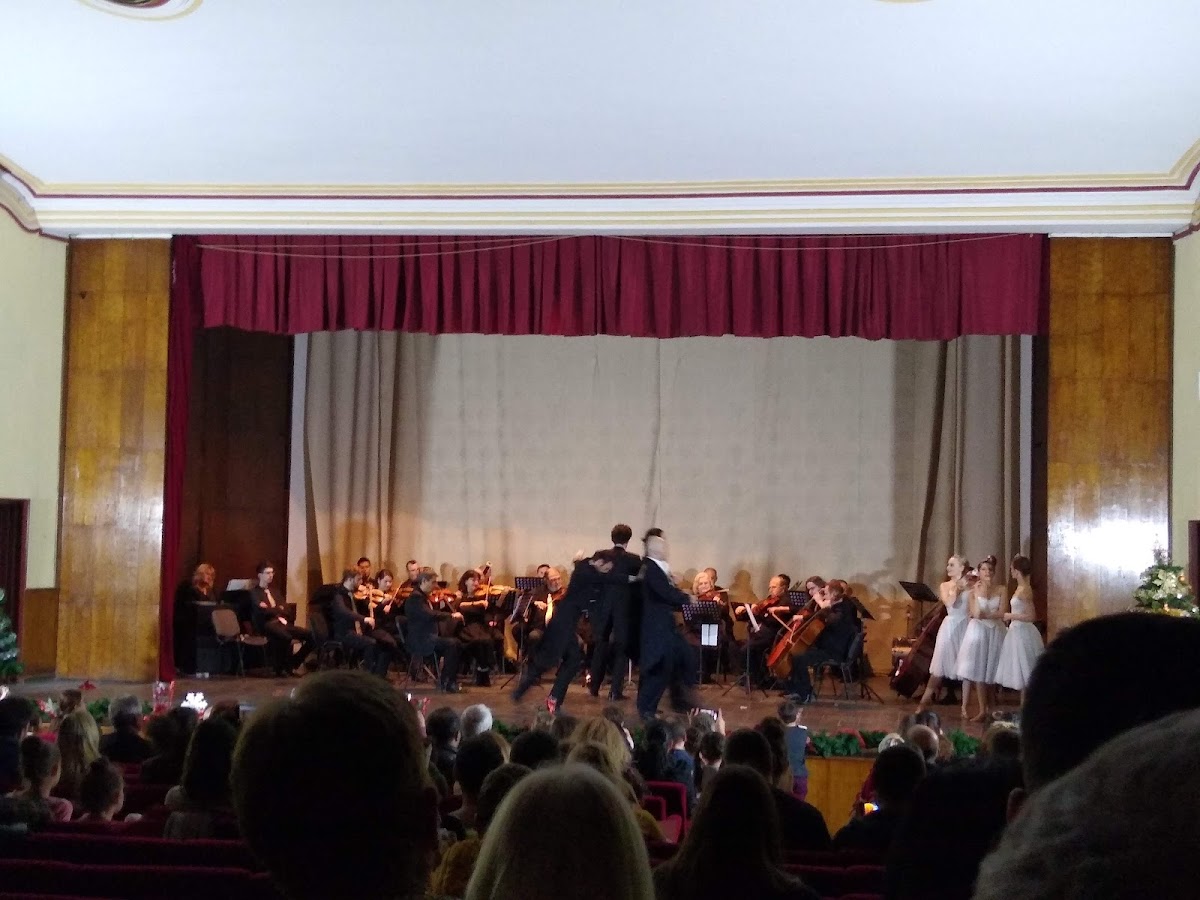 Casa de Cultură Beiuș - foto 1