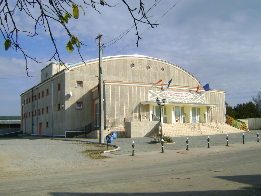 Casa de Cultură Beiuș - foto 2