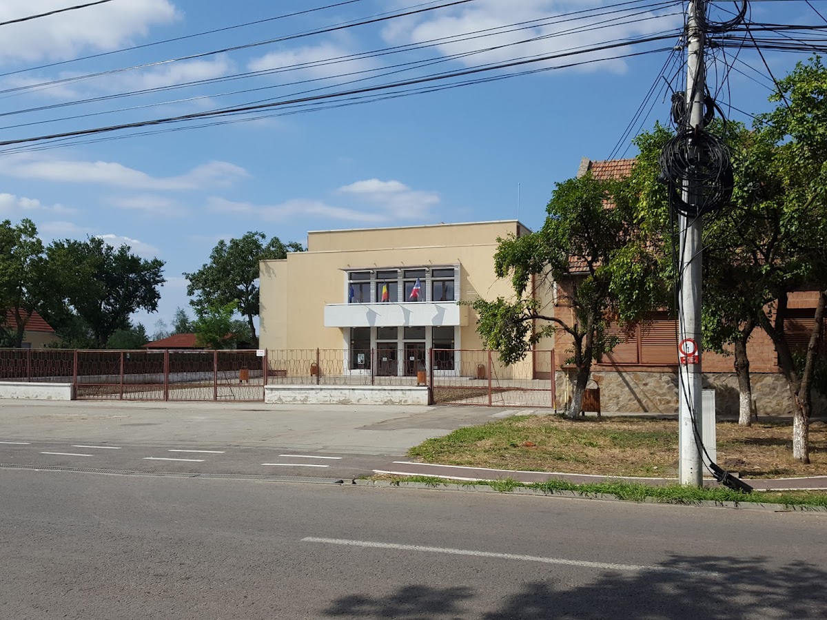 Casa de Cultură Jimbolia - foto 5