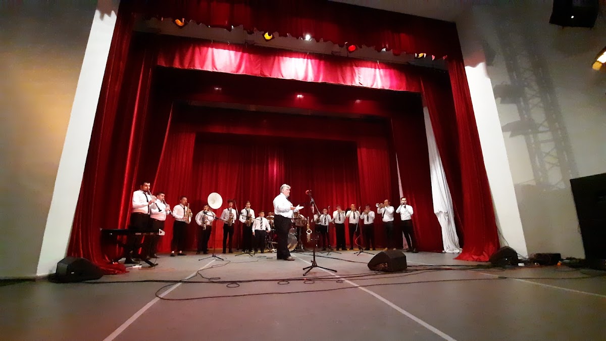 Casa di Cultura "Mihail Sadoveanu" Pașcani - foto 2