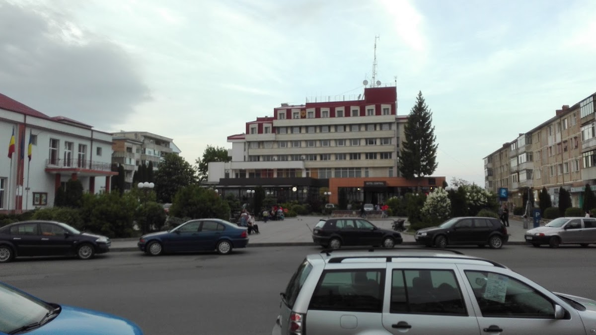 Casa di Cultura "Mihail Sadoveanu" Pașcani - foto 3