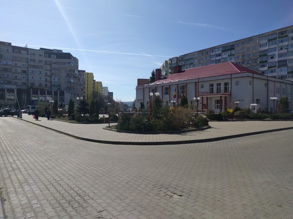 Casa di Cultura "Mihail Sadoveanu" Pașcani - foto 4