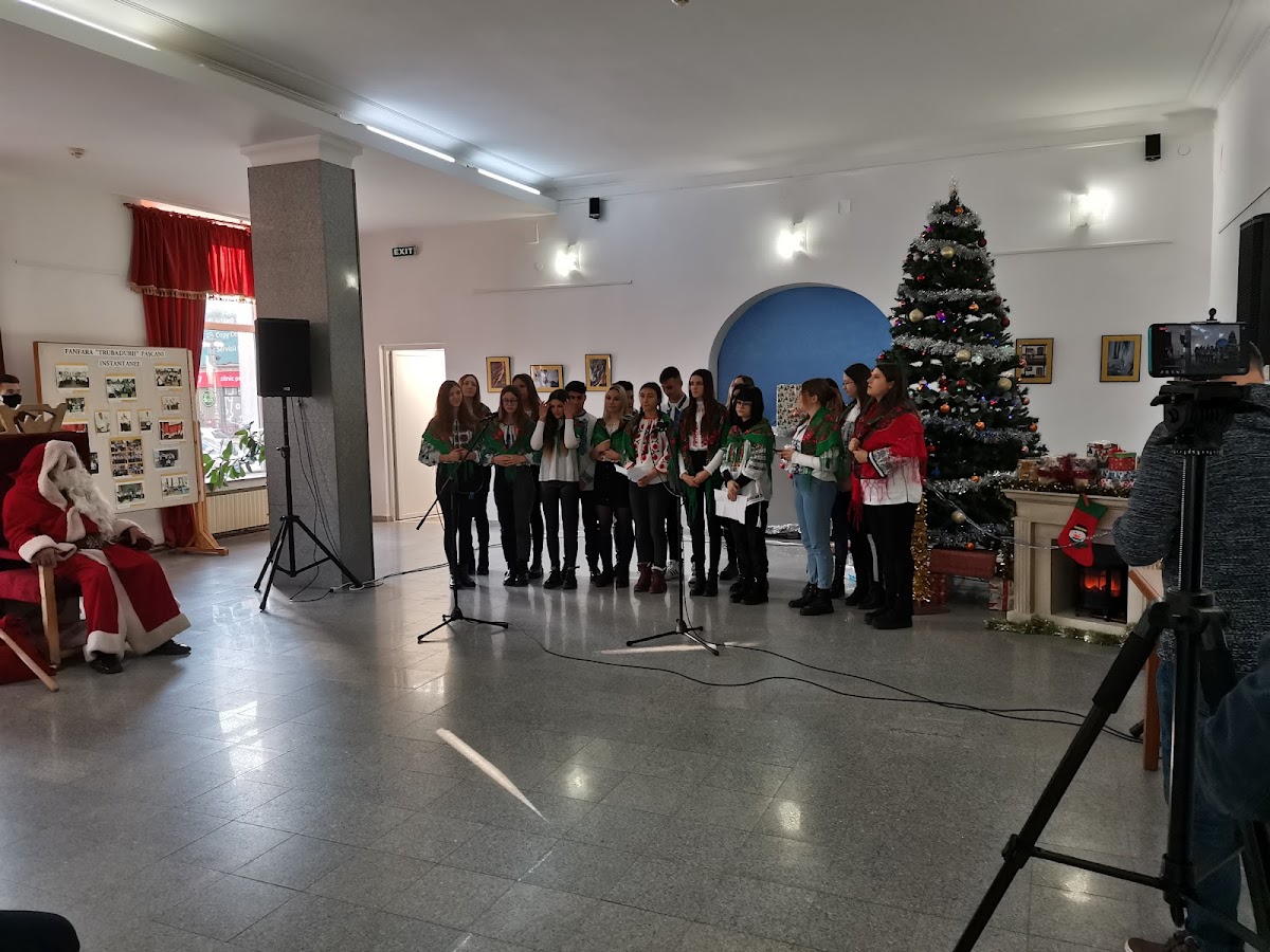 Casa di Cultura "Mihail Sadoveanu" Pașcani - foto 5