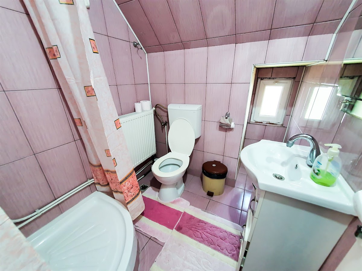 Casa de langa rau Rucar - foto 3