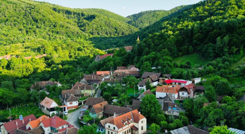 Casa De Sub Brazi Fantanele - foto 1