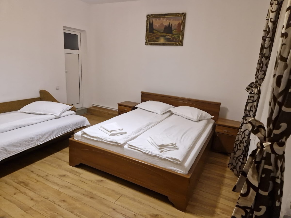 Casa de vacanta Diana Turnu Rosu - foto 2