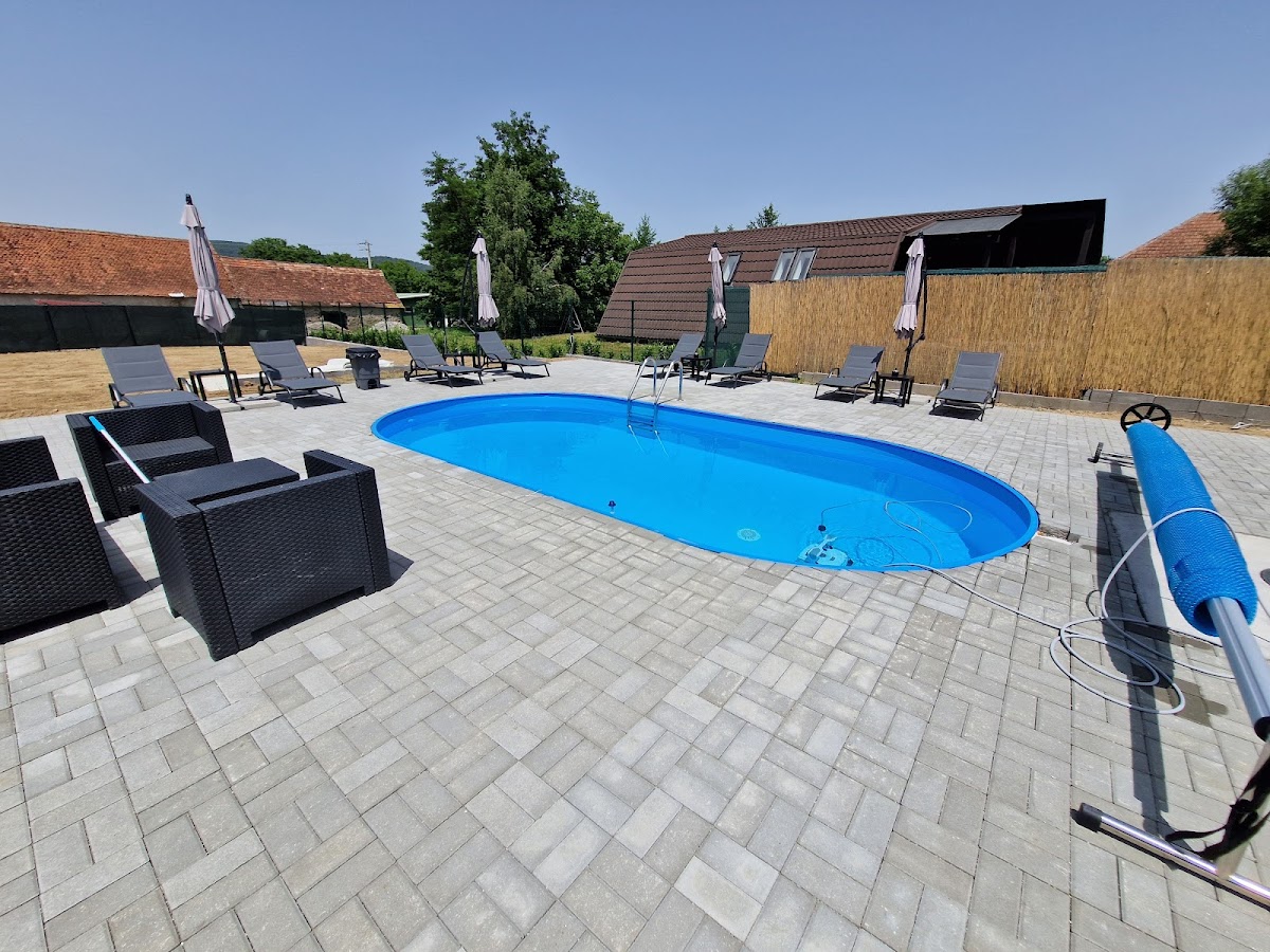 Casa de vacanta Diana Turnu Rosu - foto 3