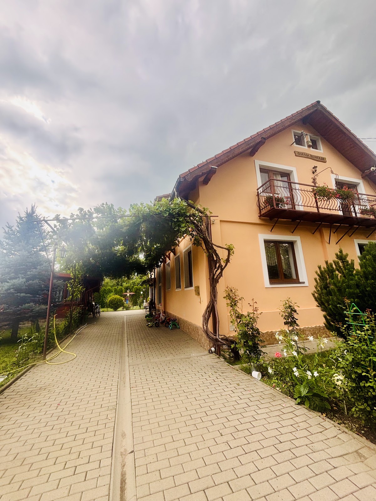 Casa de vacanta Ograda Bunicilor - foto 4