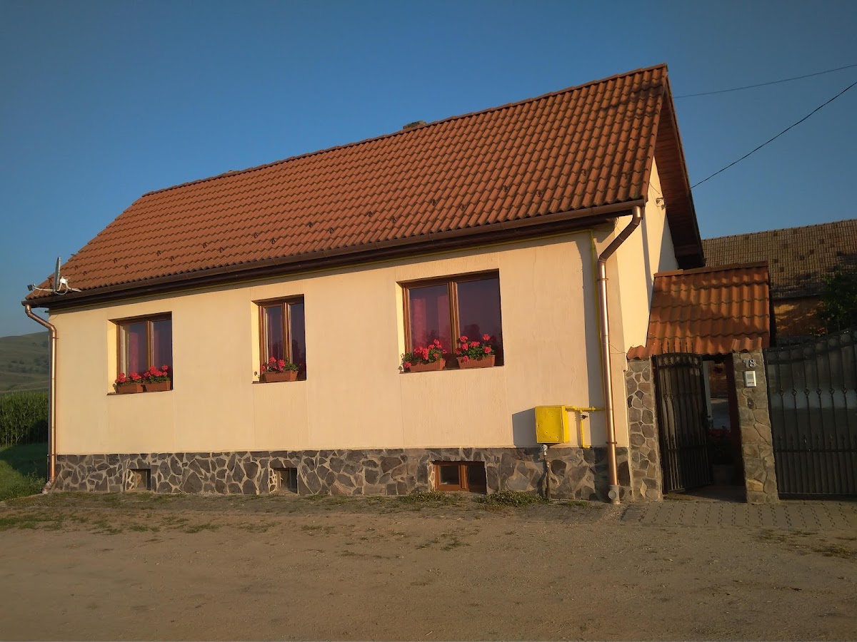 Casa de vacanta Simion - foto 1