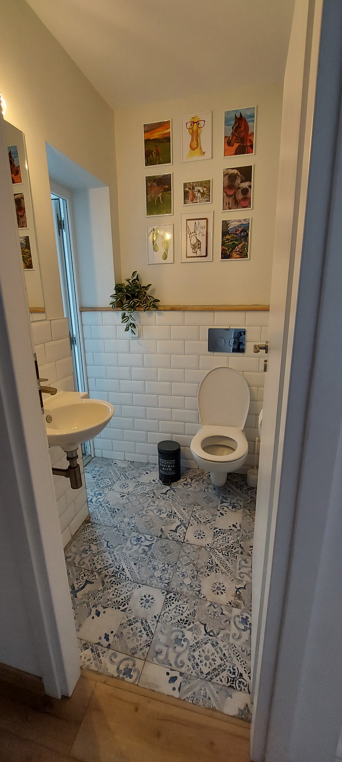 Casa de vacanta Simion - foto 4