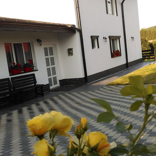 Casa din Bucovina