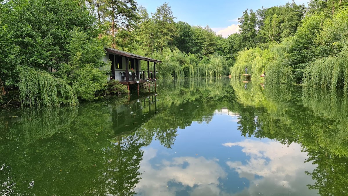 Casa din Pădure