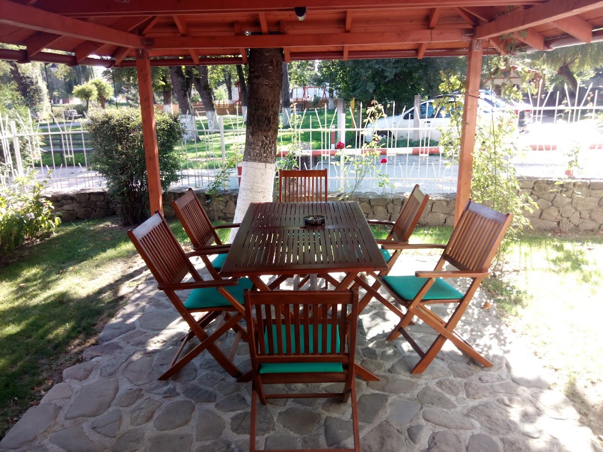 Casa din Parc - foto 5