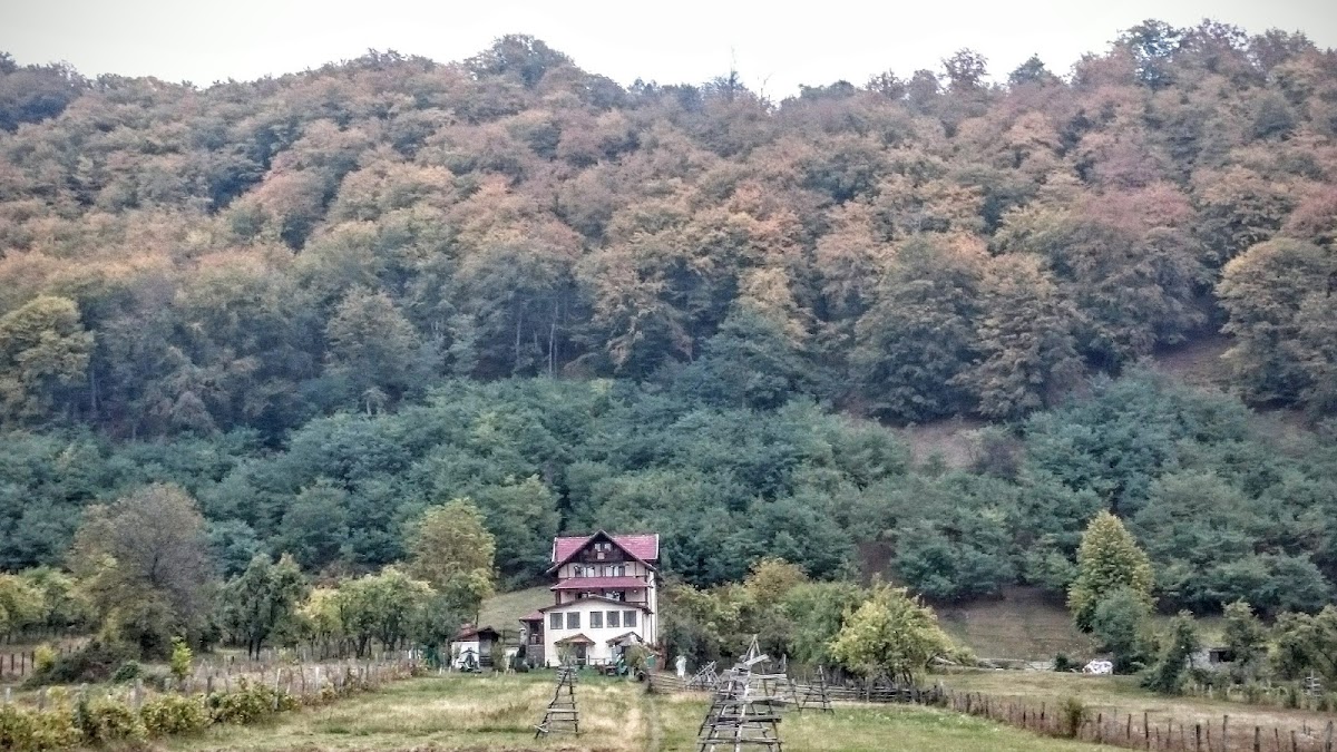 Casa din Salcâmi