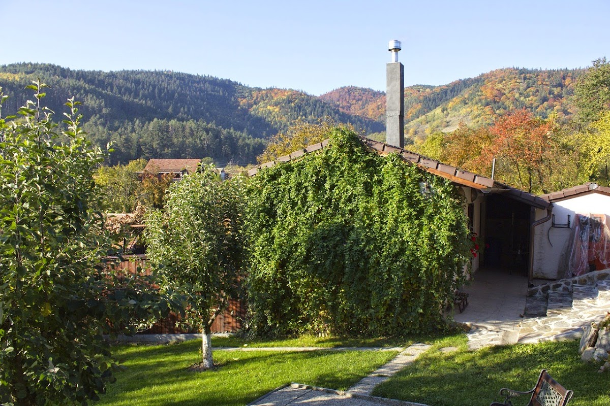 Casa din Vale - foto 1