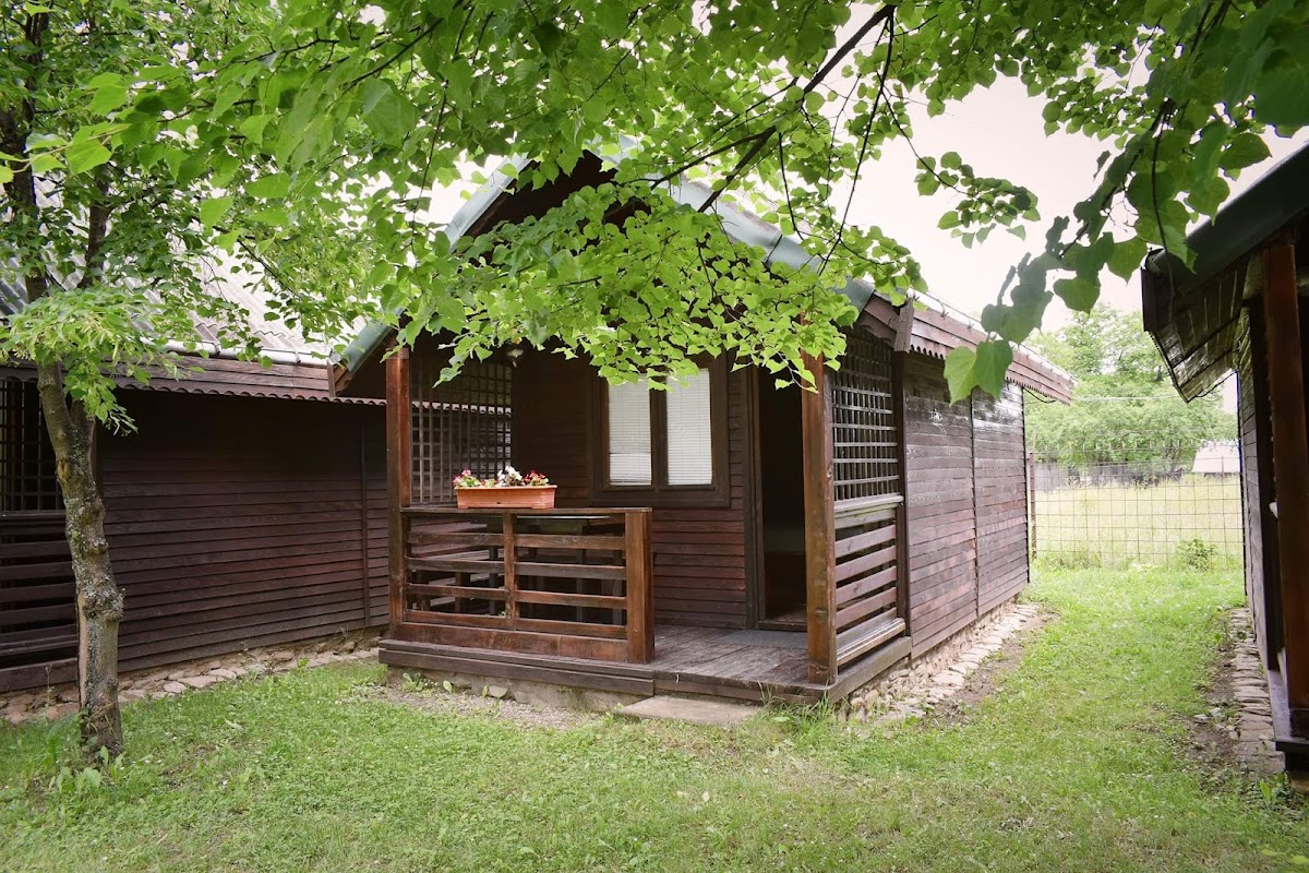 Casa dintre pini