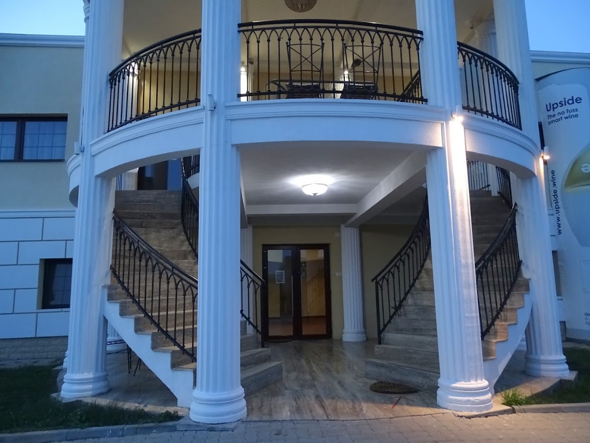 Casa Domeniile Vinului - foto 4