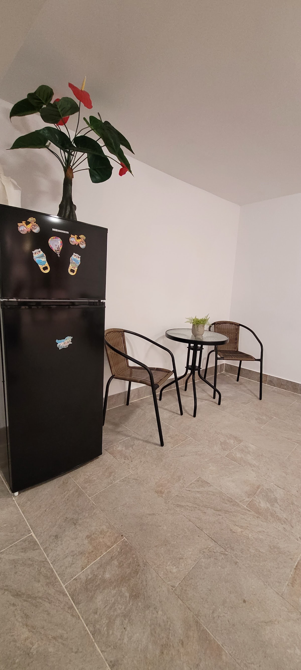 Casa Domnească - Sistemazione Giurgiu