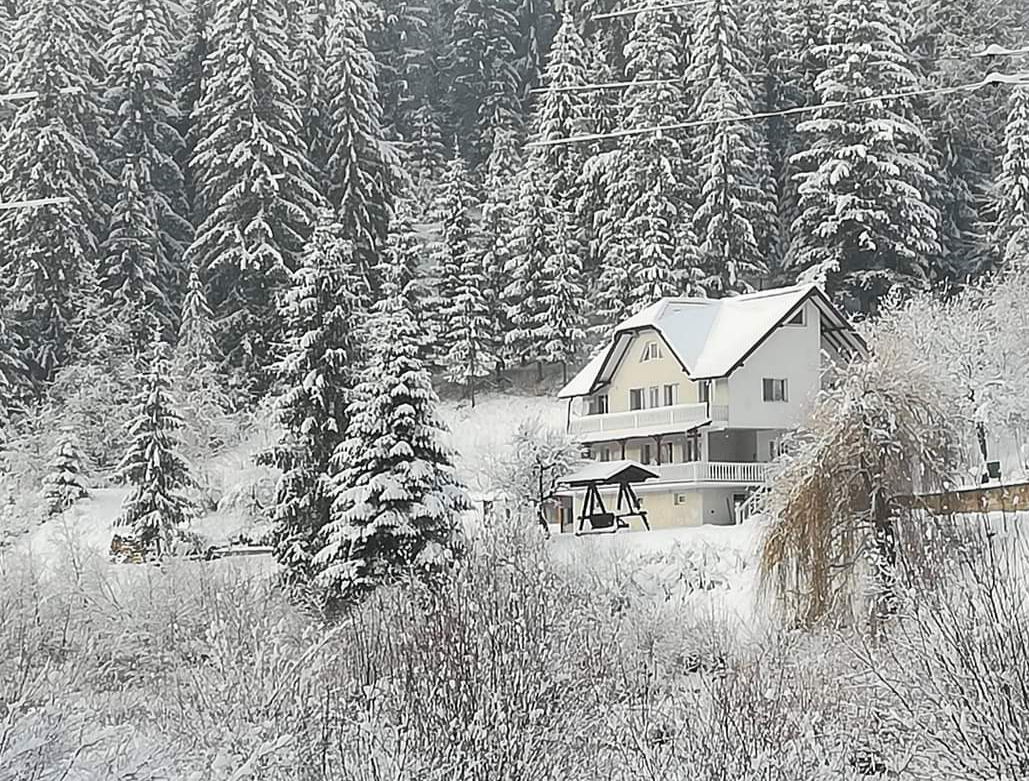 Casa Dulce Casa - foto 3