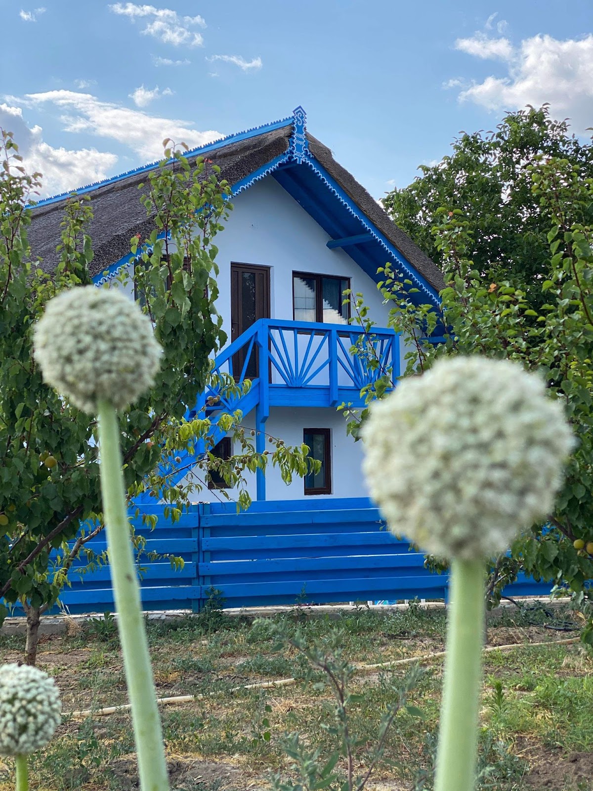 Casa Enisala - foto 5