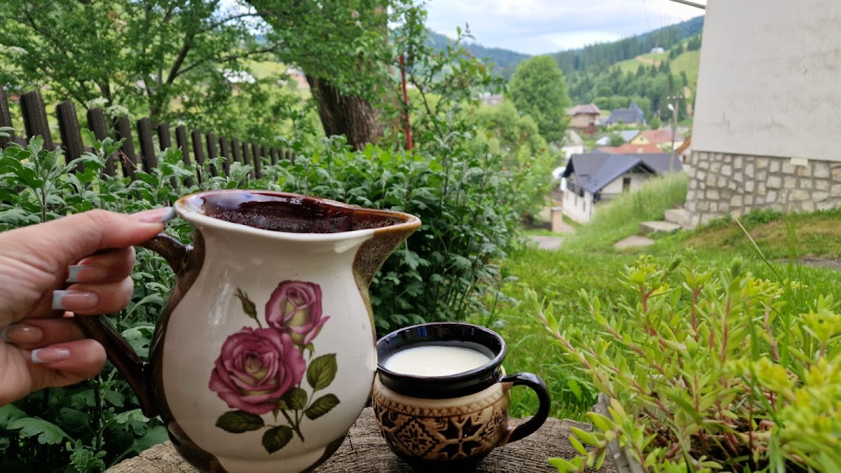 Casa Fierarul din Bucovina