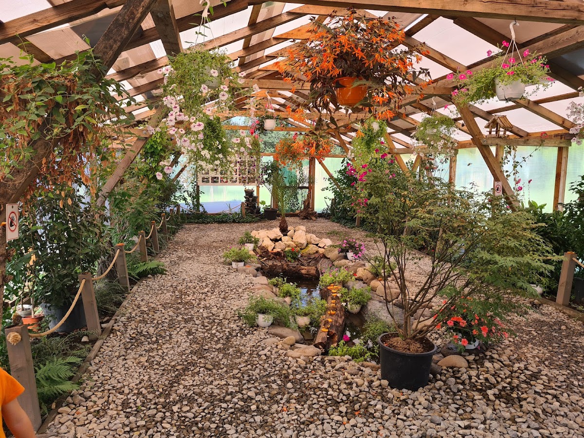 Casa Fluturilor Exotici - foto 4