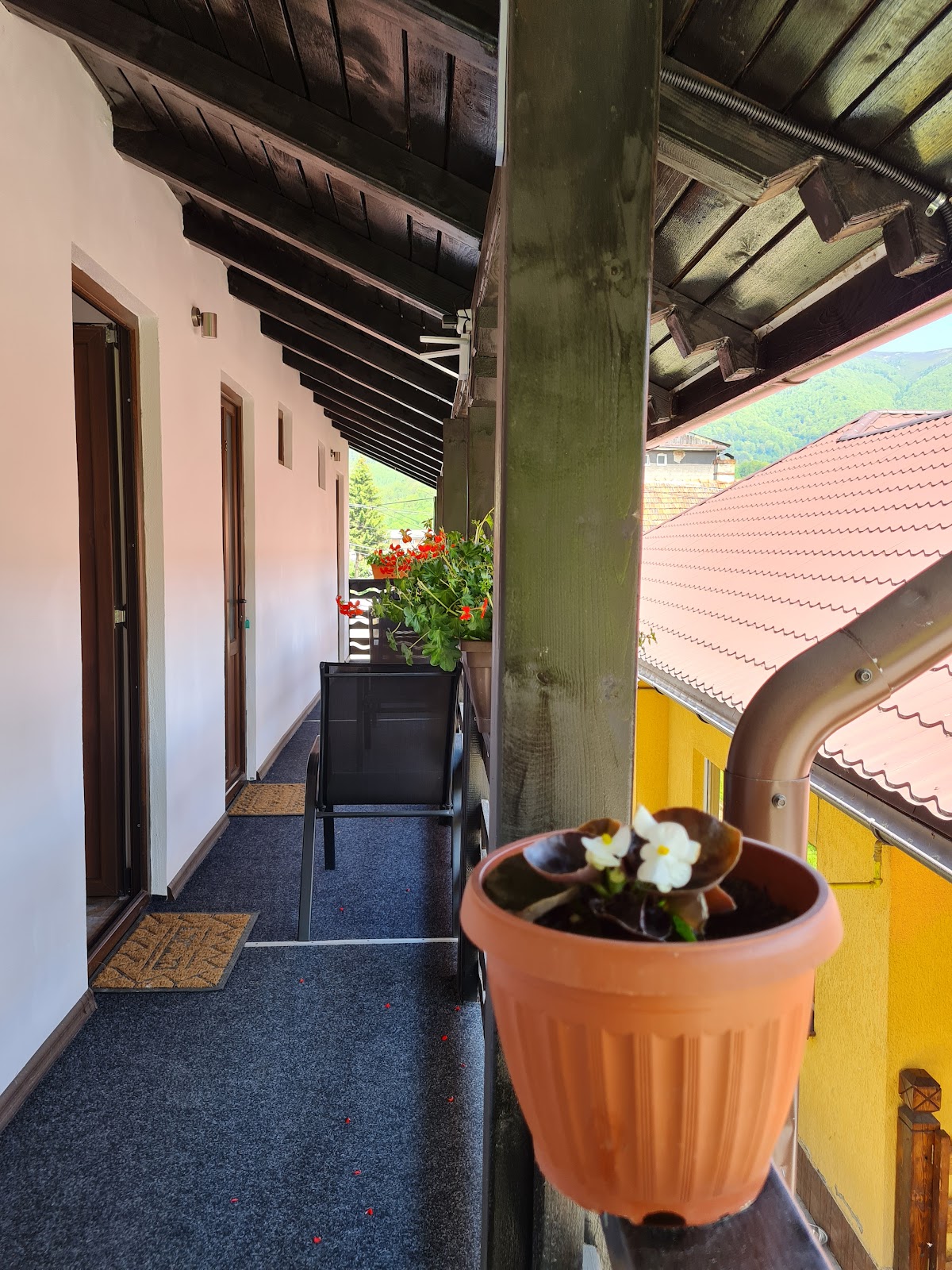 Casa Greta
