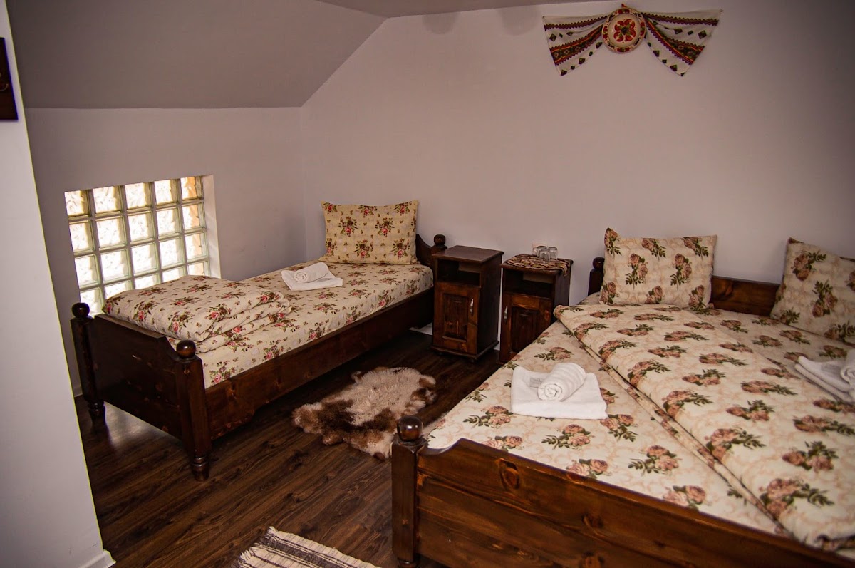 Casa Iancu Jina - foto 4