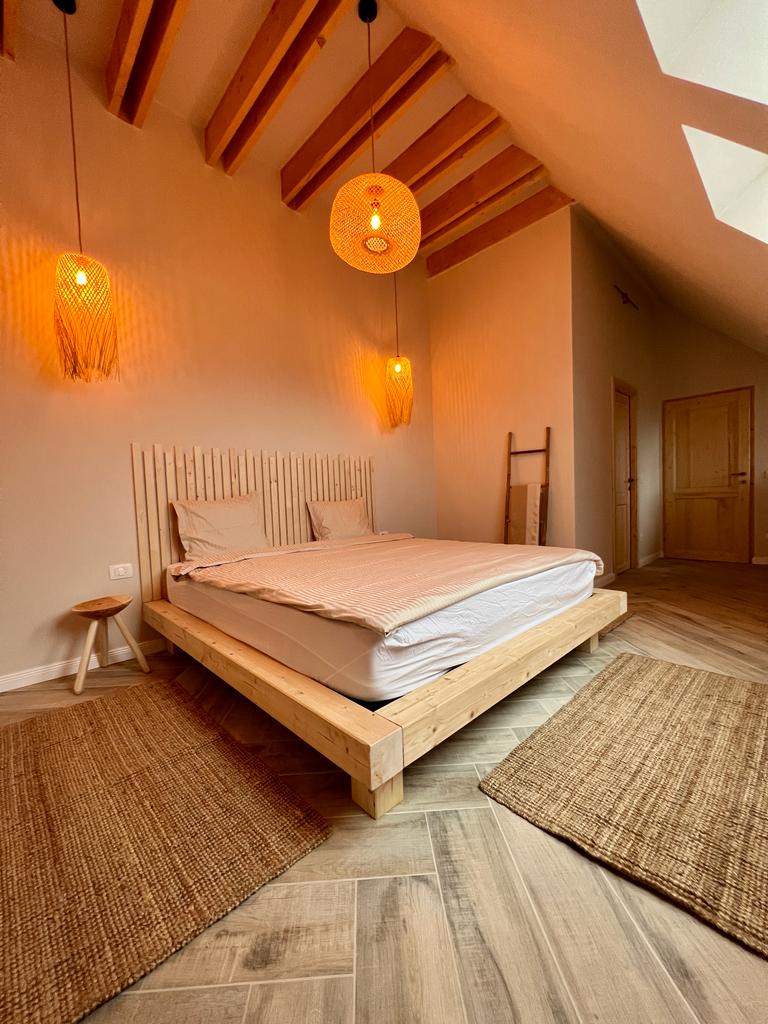 Casa Ido Sat Pestera