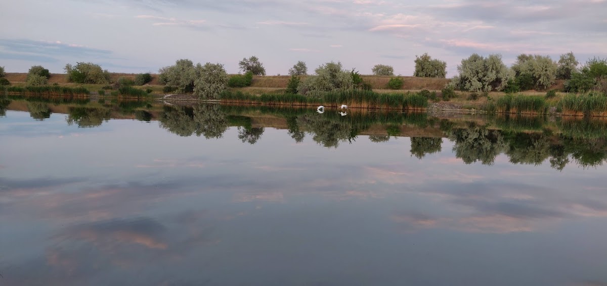 Casa Iris Navodari - foto 4