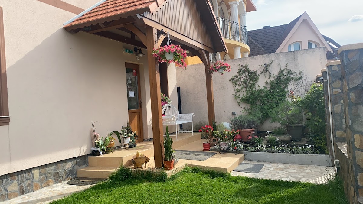 Irish House, Băile Felix