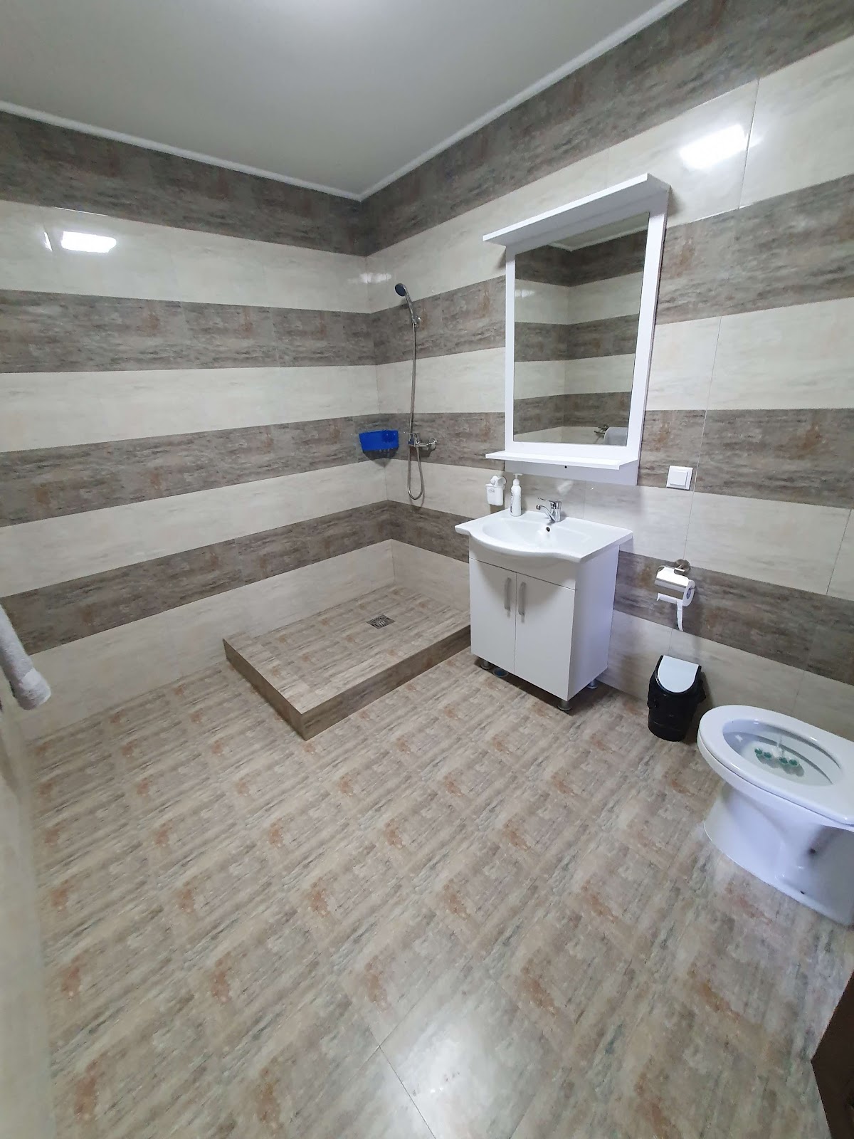 Casa Lebăda Jurilovca - foto 2