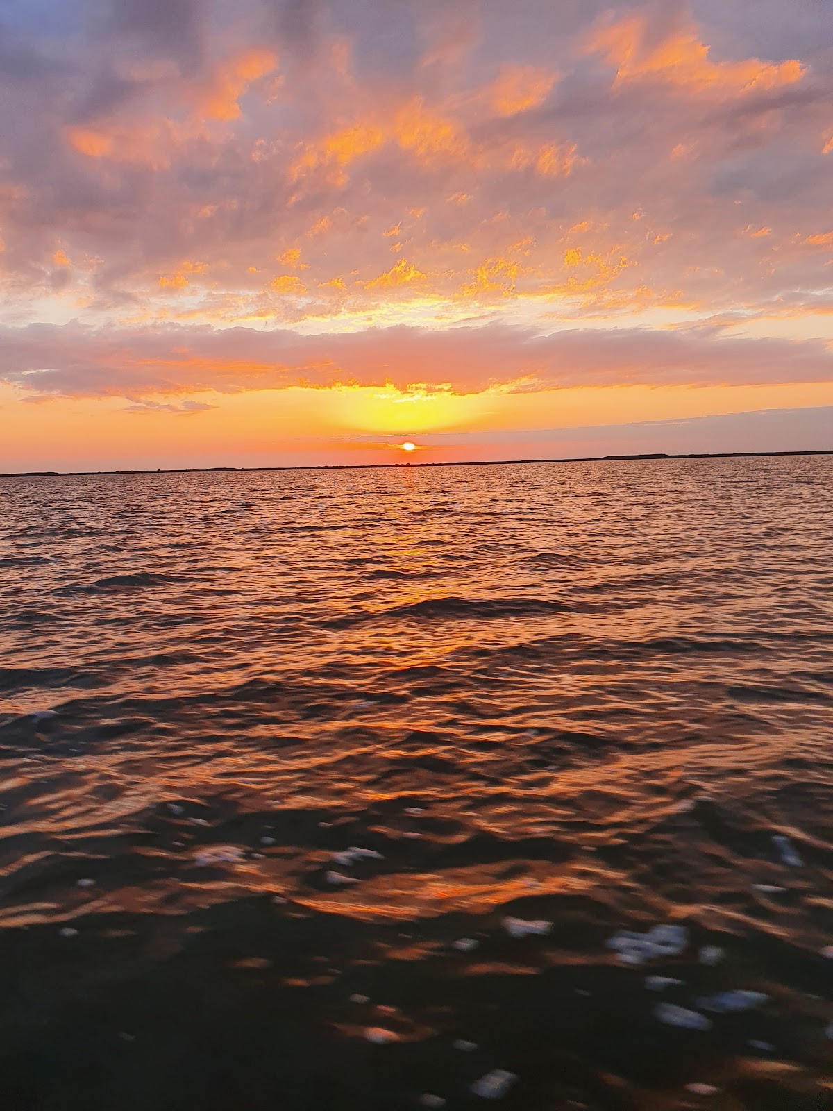 Casa Lebăda Jurilovca - foto 4