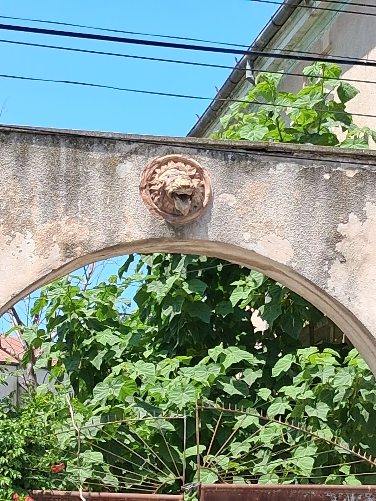 Casa Lichiardopol