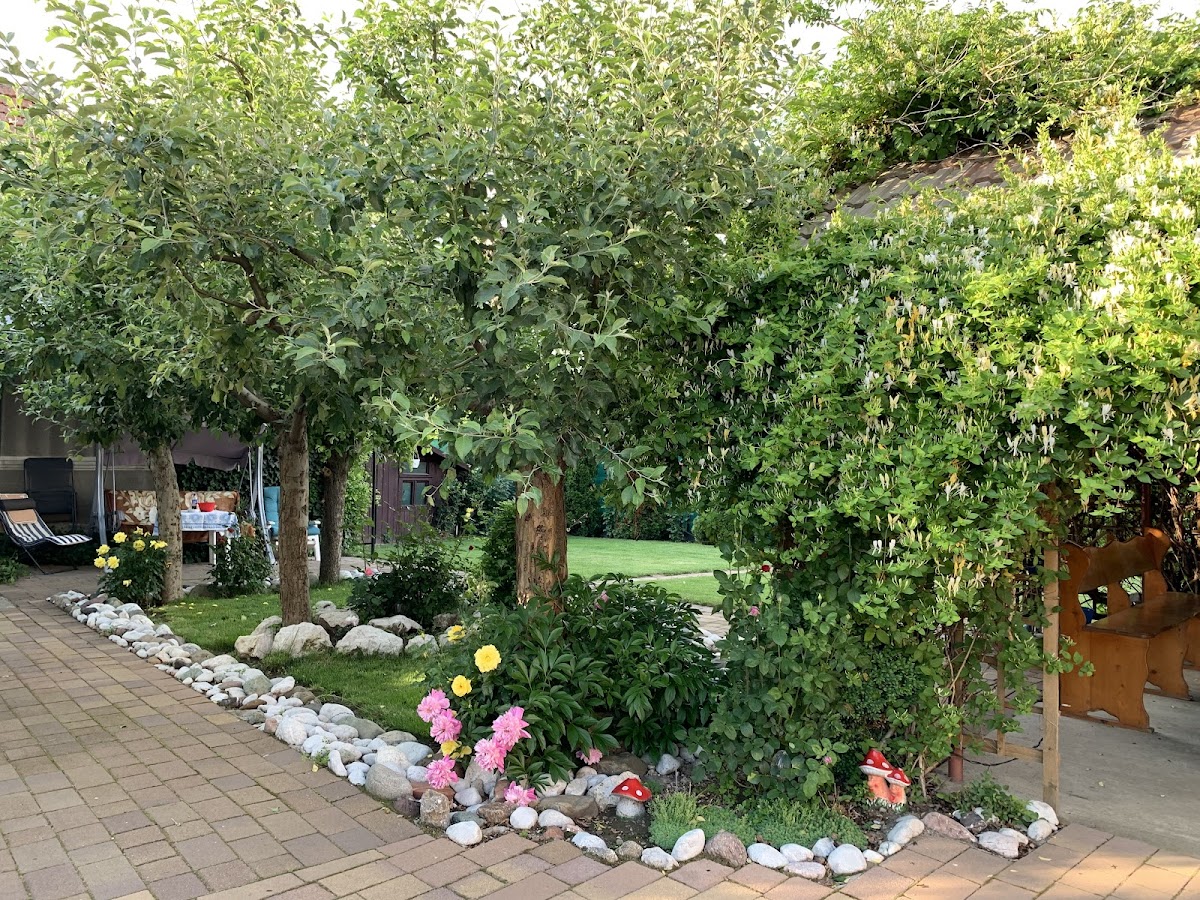 Casa Lui Moșu