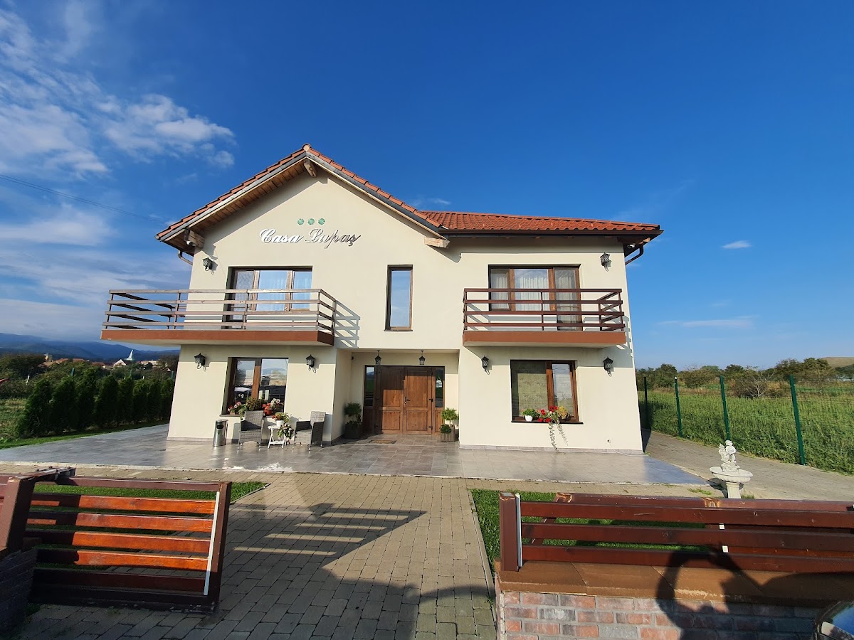 Casa Lupaș - foto 4