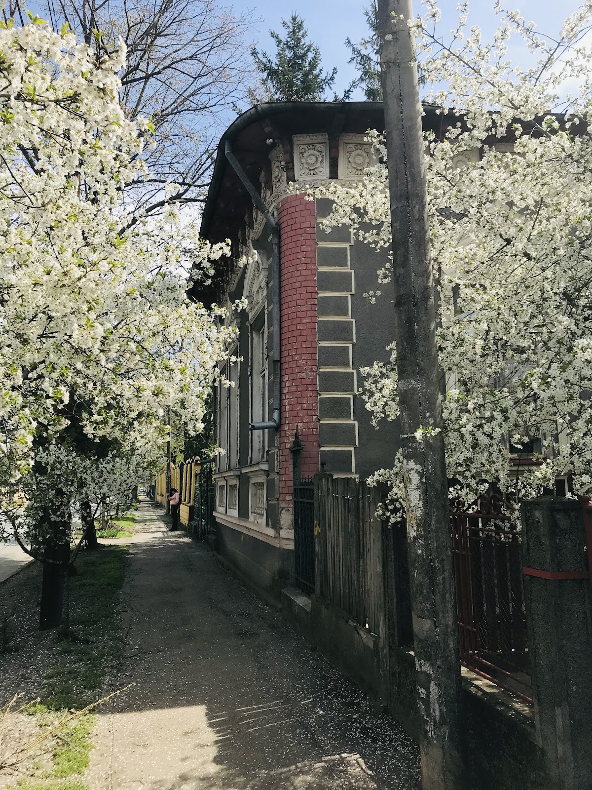 Casa Mamut - foto 2